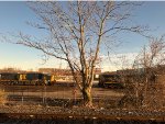CSX 501